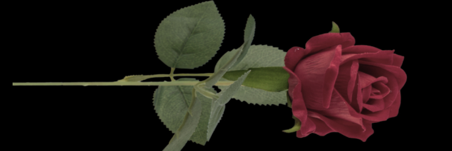 About image