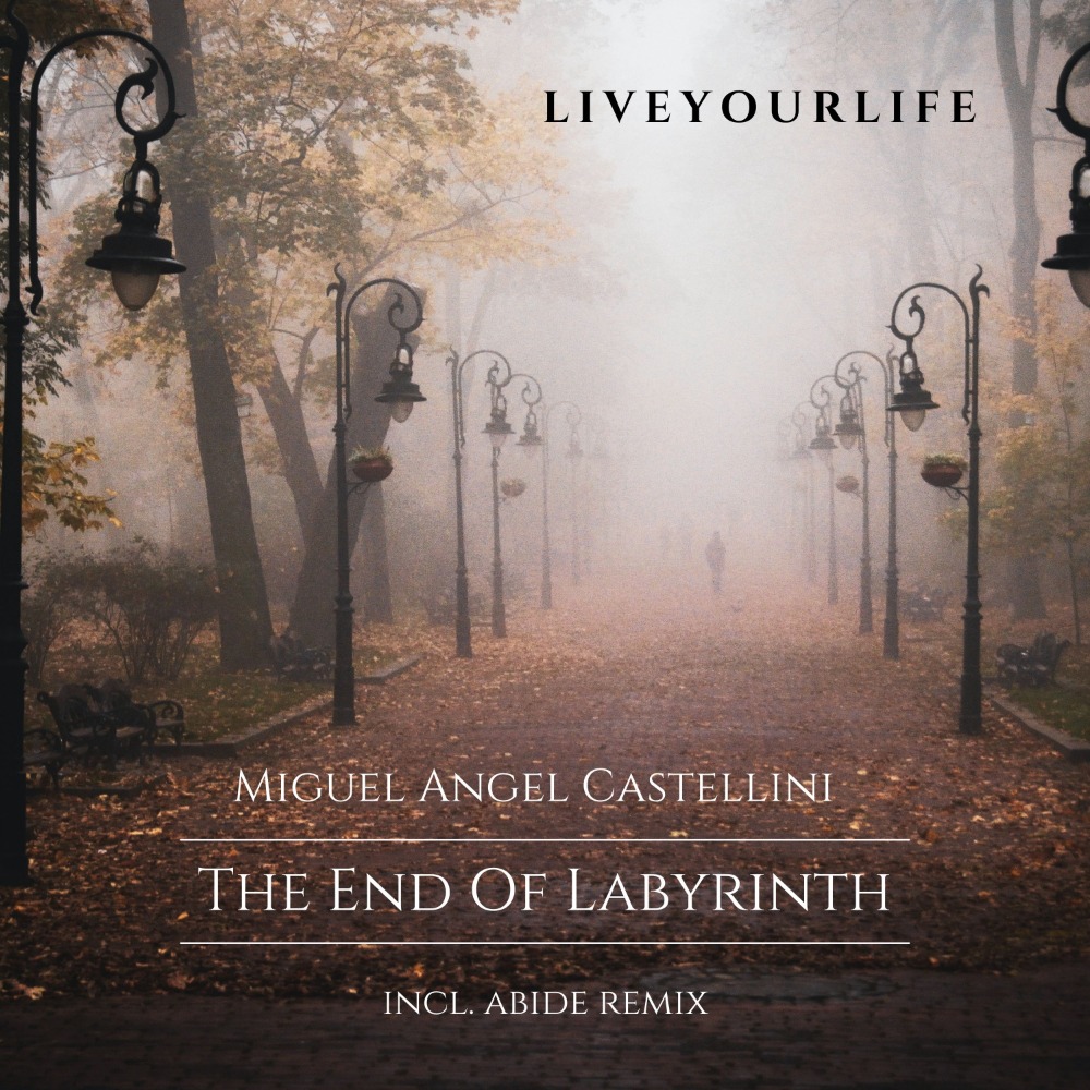 The End of Labyrinth / Incl. Abide Remix