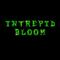 Intrepid Bloom