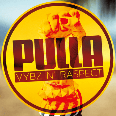 ❱❱ VYBZ & RASPECT ❰❰ Reggae NuClassics