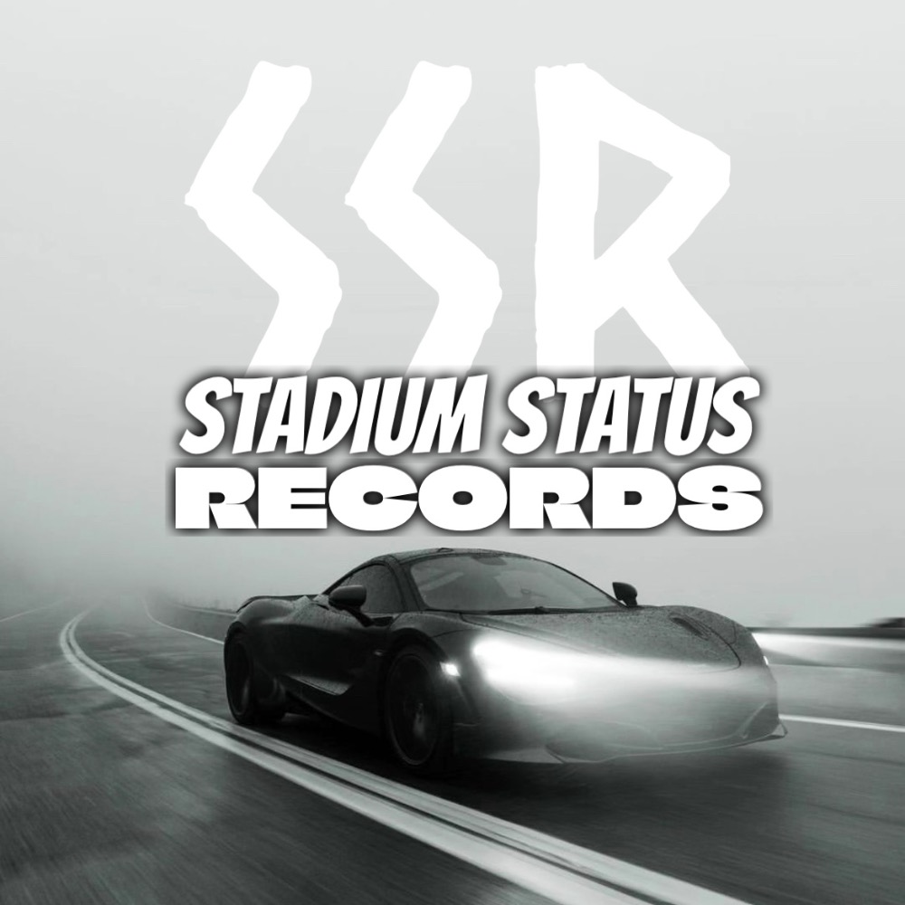 STADIUM STATUS RECORDS