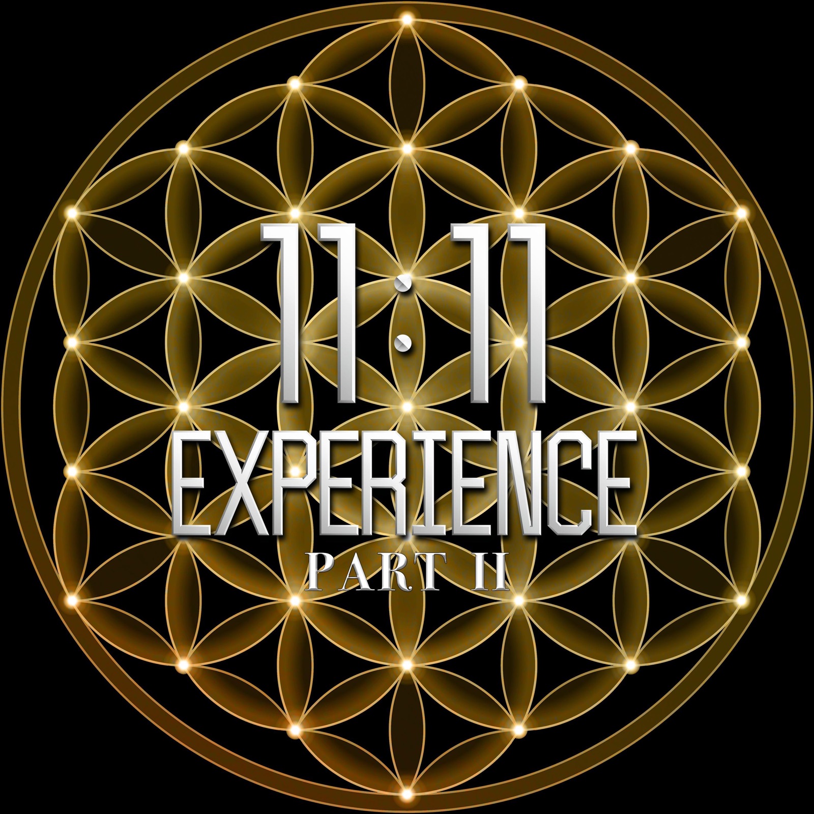 11:11 Experience, Pt. 2