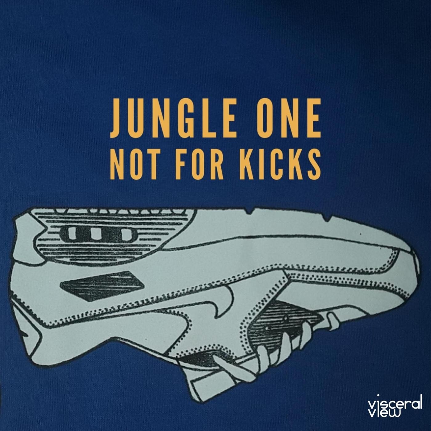 Not for Kicks - Single