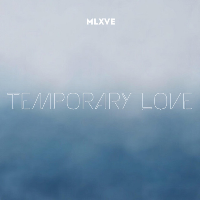 Temporary Love