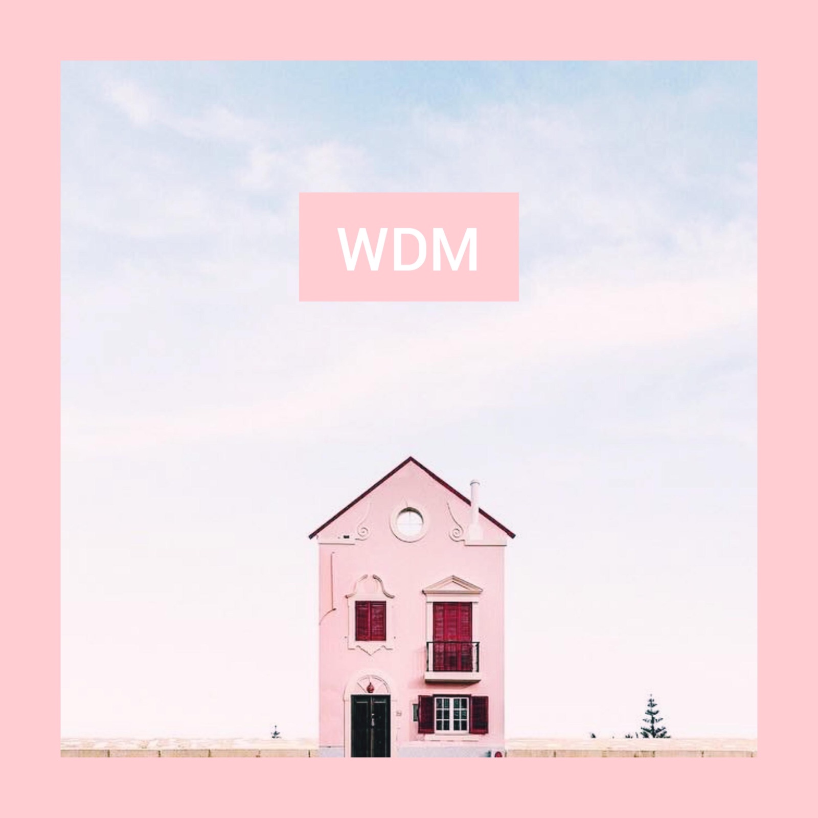 WDM - Single