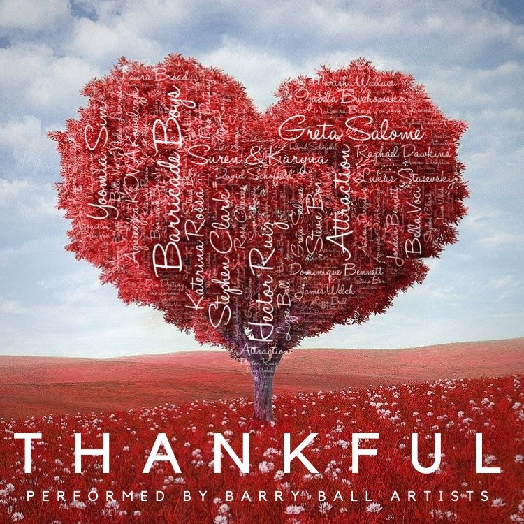 Raising money for the World Health Organisation Covid-19 Response Fund