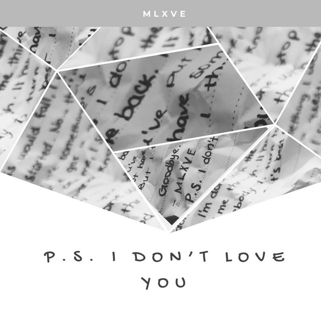P.S. I Don't Love You