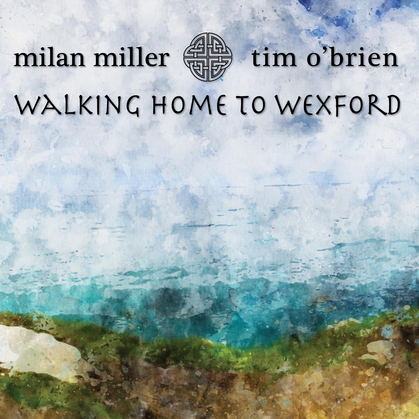 Walking Home to Wexford - Single