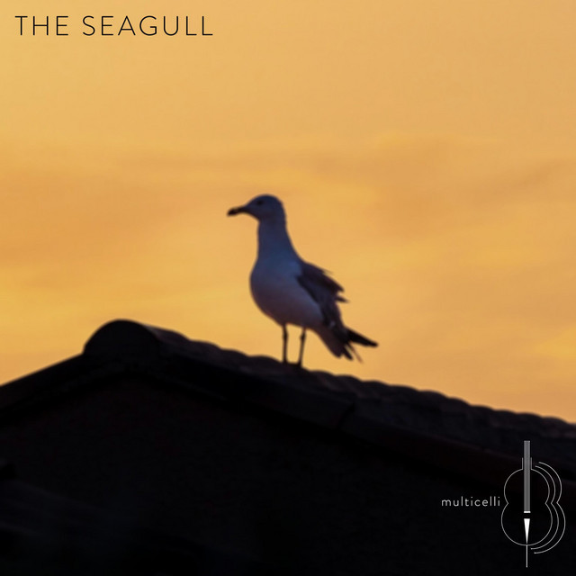 The Seagull