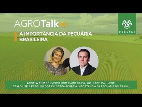 #44 AGROTALK - A importância da Pecuária Brasileira