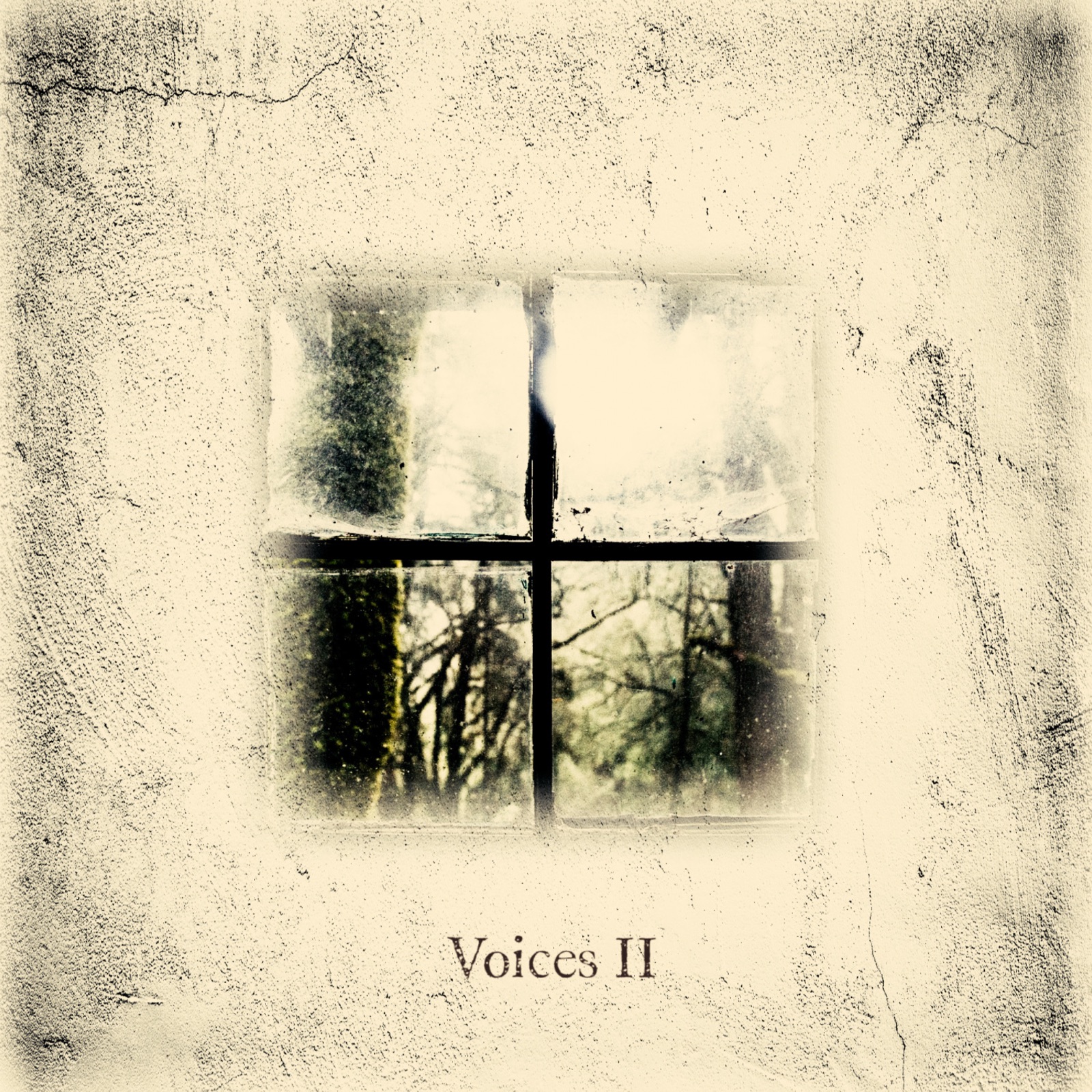 Voices II