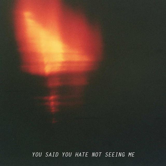 You Said You Hate Not Seeing Me