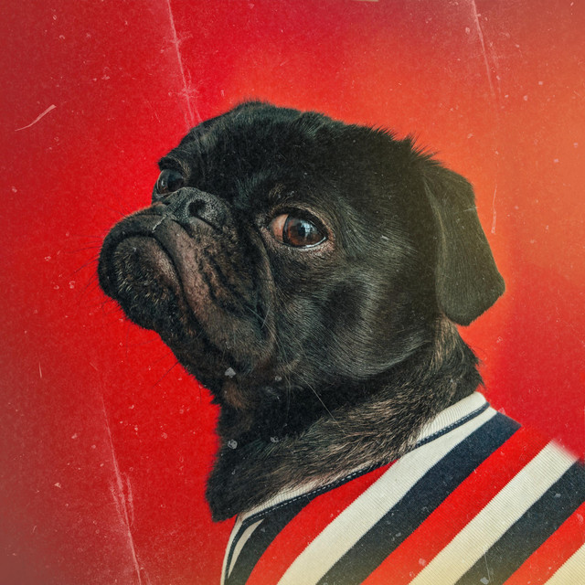 Underdogs of the Underdogs