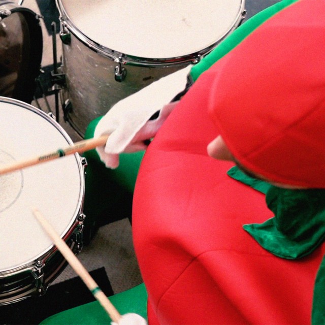 Tomato Plants
