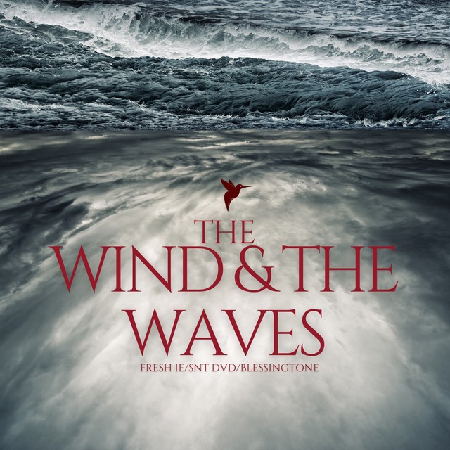 The Wind & the Waves (feat. SNT DVD & Blessingtone) - Single