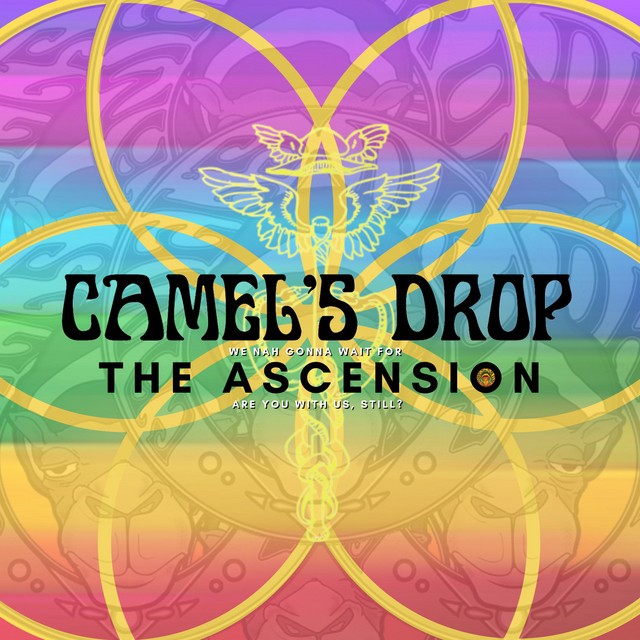 Camel's Drop - The Ascension