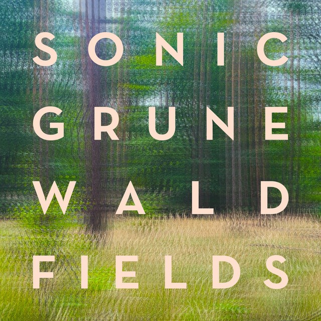 Sonic Grunewald Fields