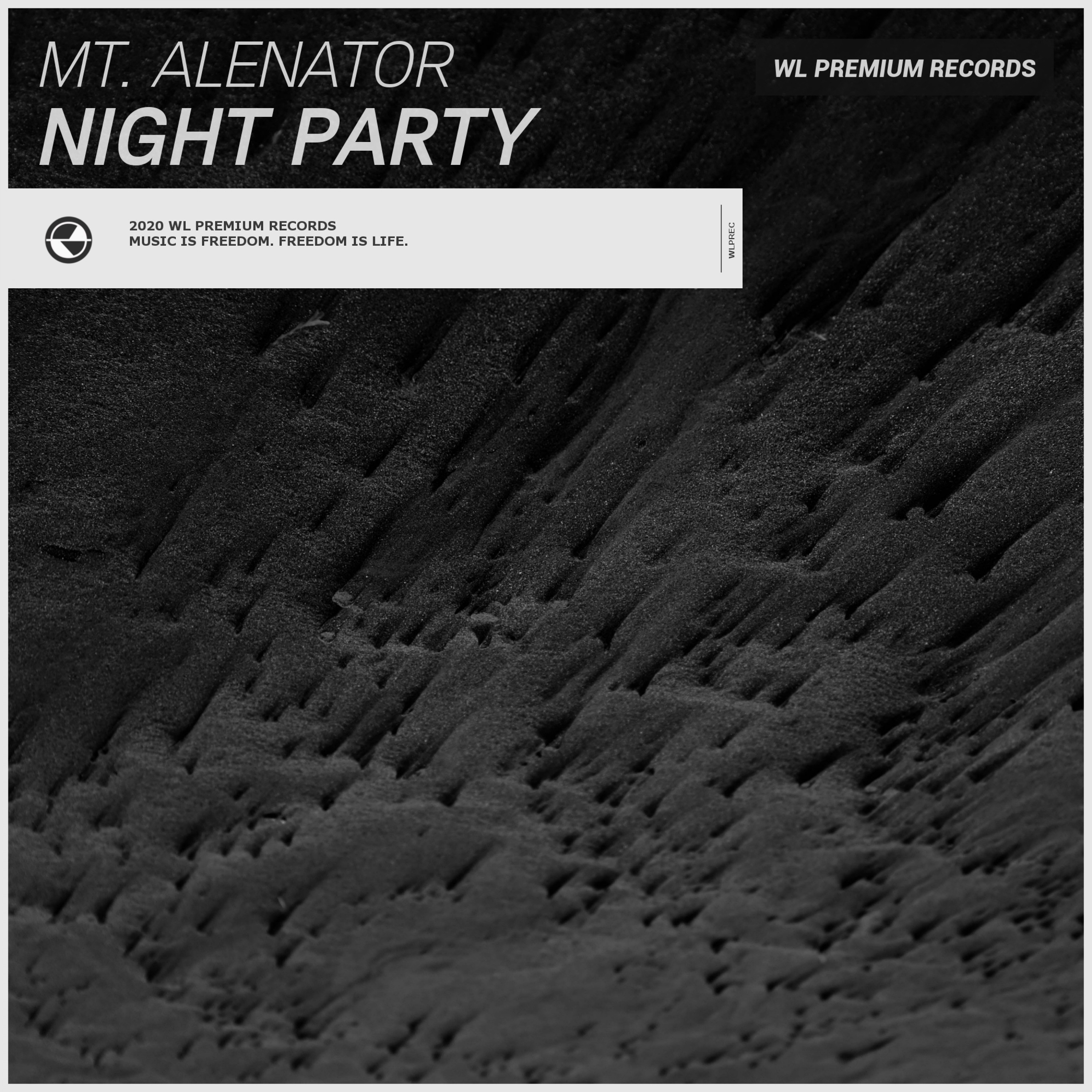 Night Party (Extended Mix)