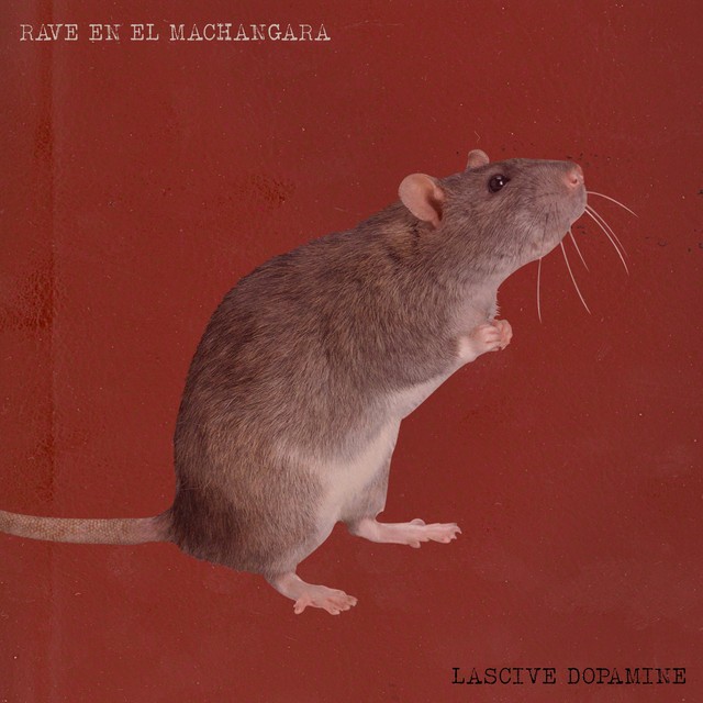 Lascive Dopamine - Rave en el Machangara
