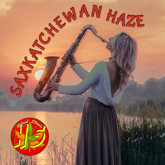 Saxkatchewan Haze