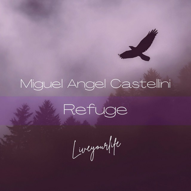 Miguel Angel Castellini - Refuge
