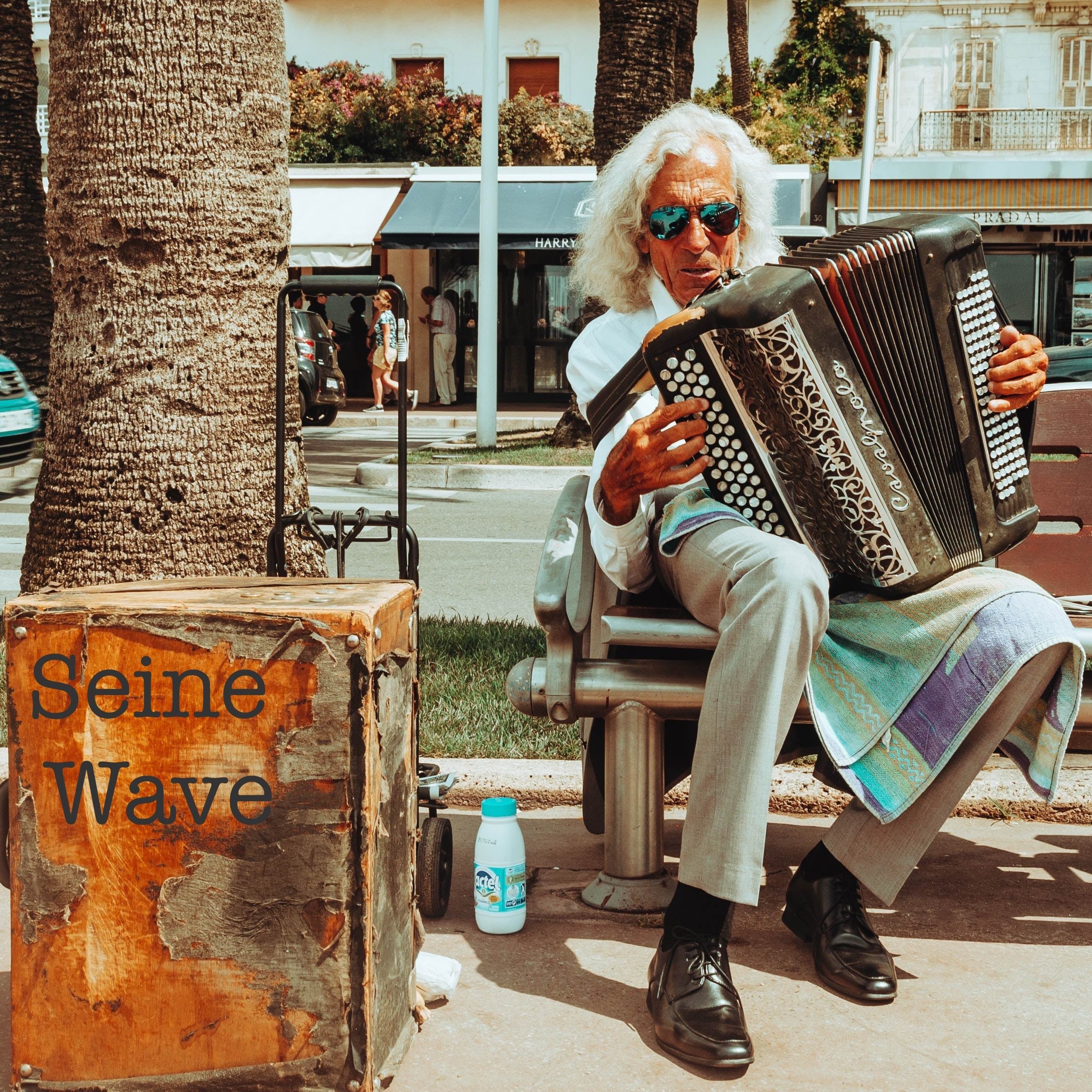 Seine Wave