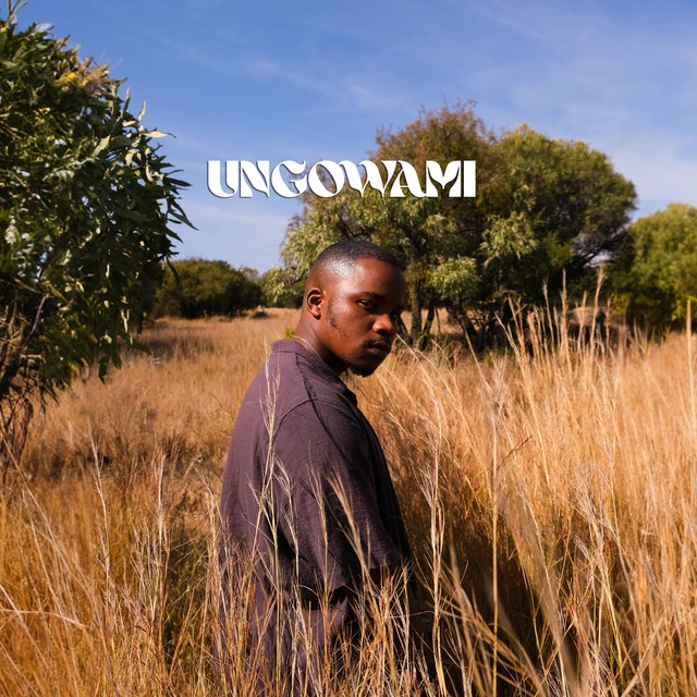 Ungowami