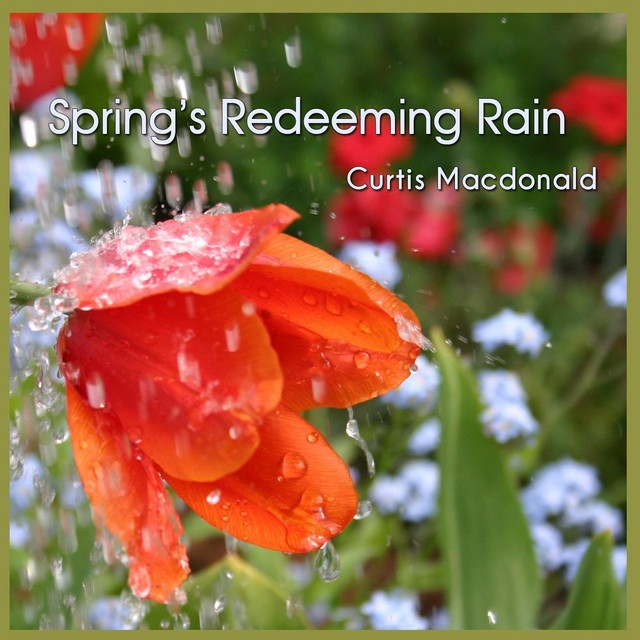 Spring's Redeeming Rain