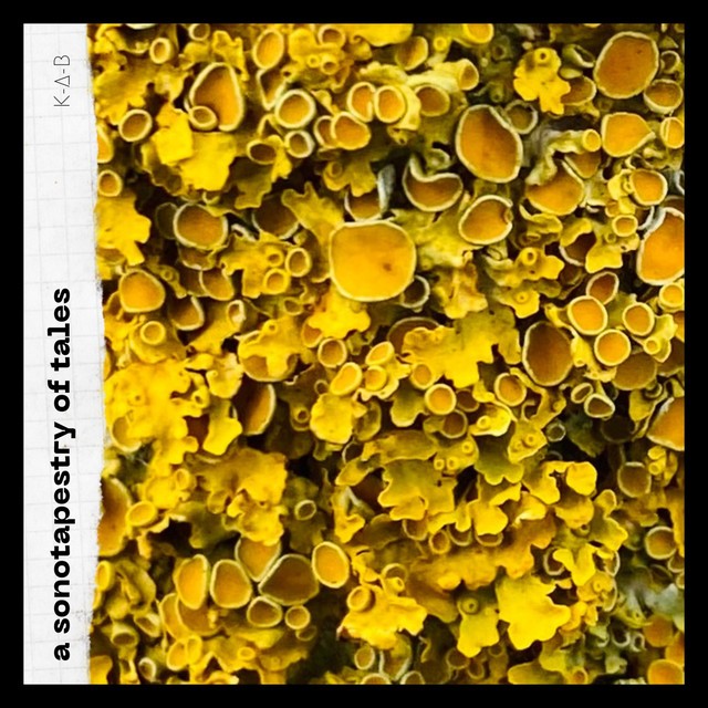 A Sonotapestry of Tales