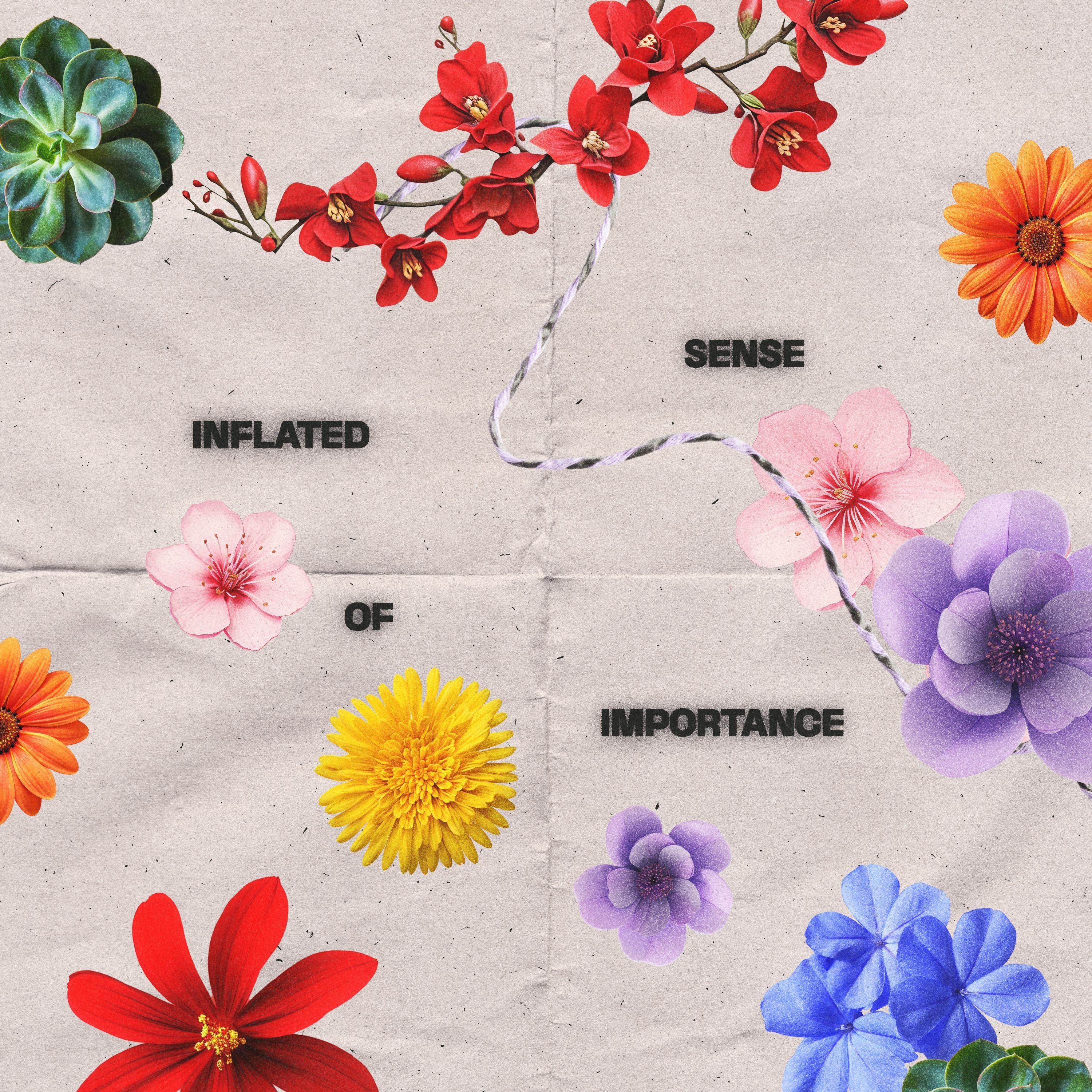 Inflated Sense of Importance