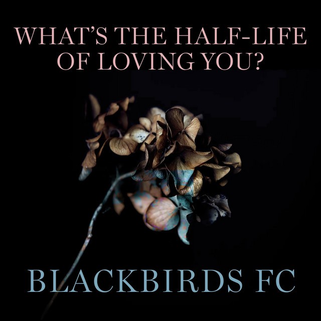 What's the Half-Life of Loving You?