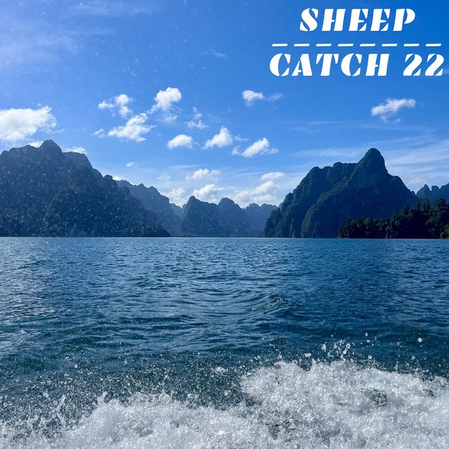 Catch 22
