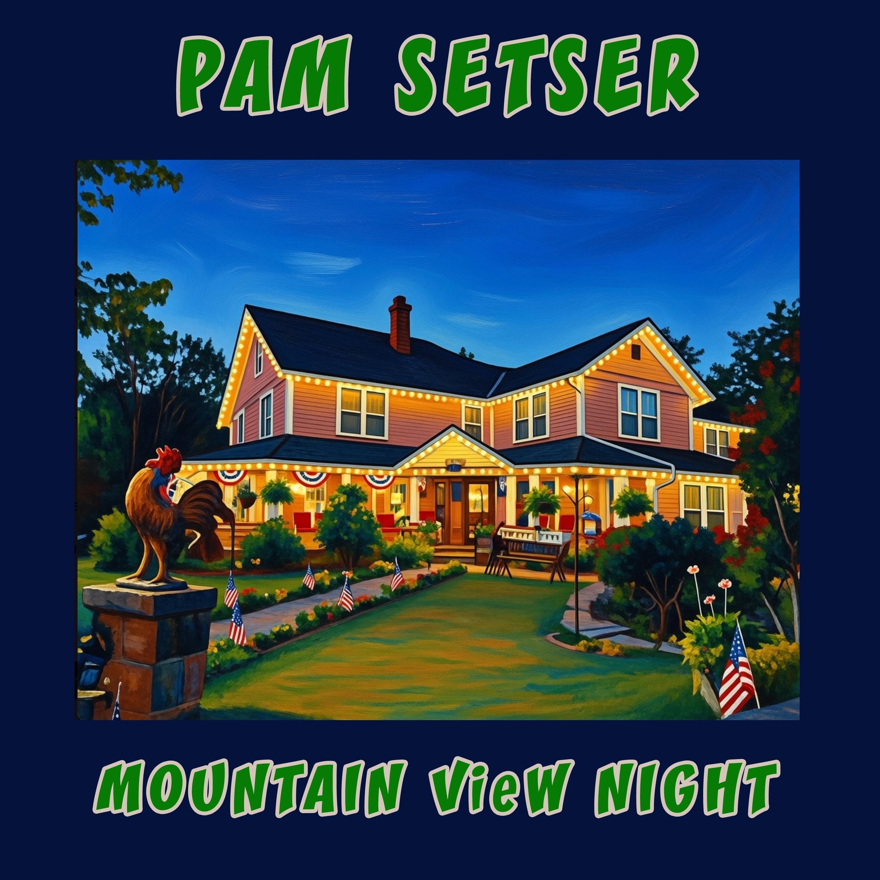 Mountain View Night