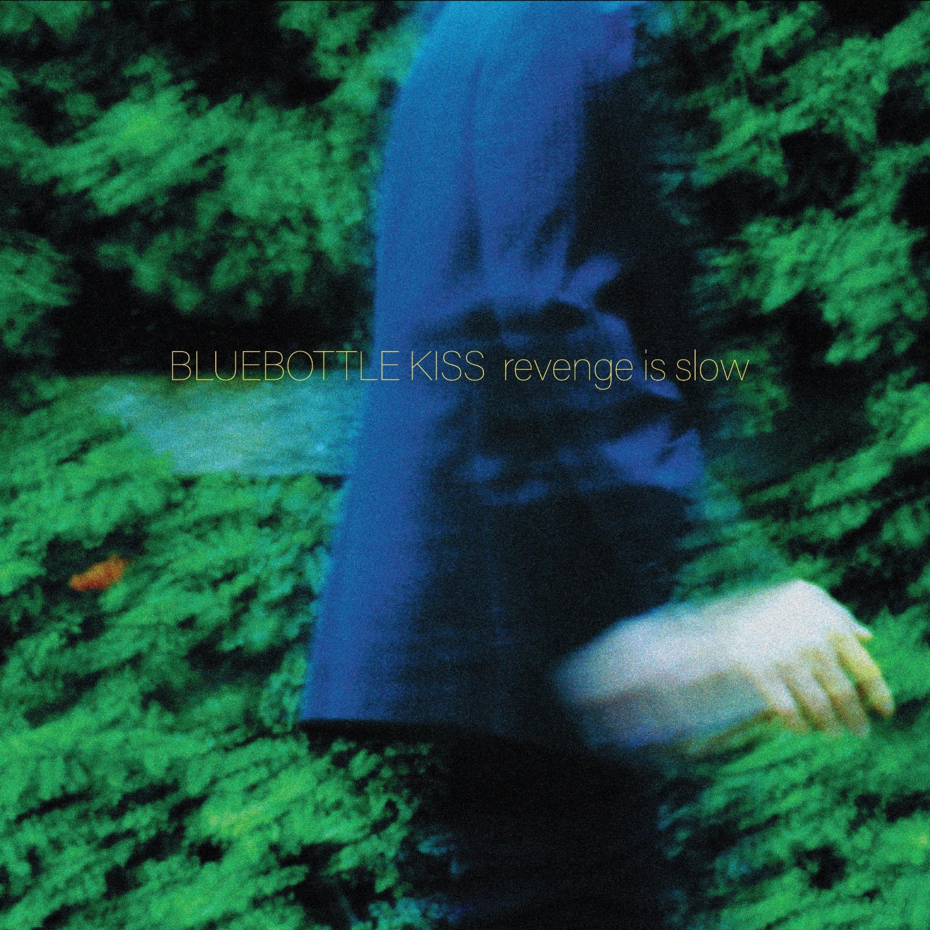 Revenge Is Slow (2025 Remaster)