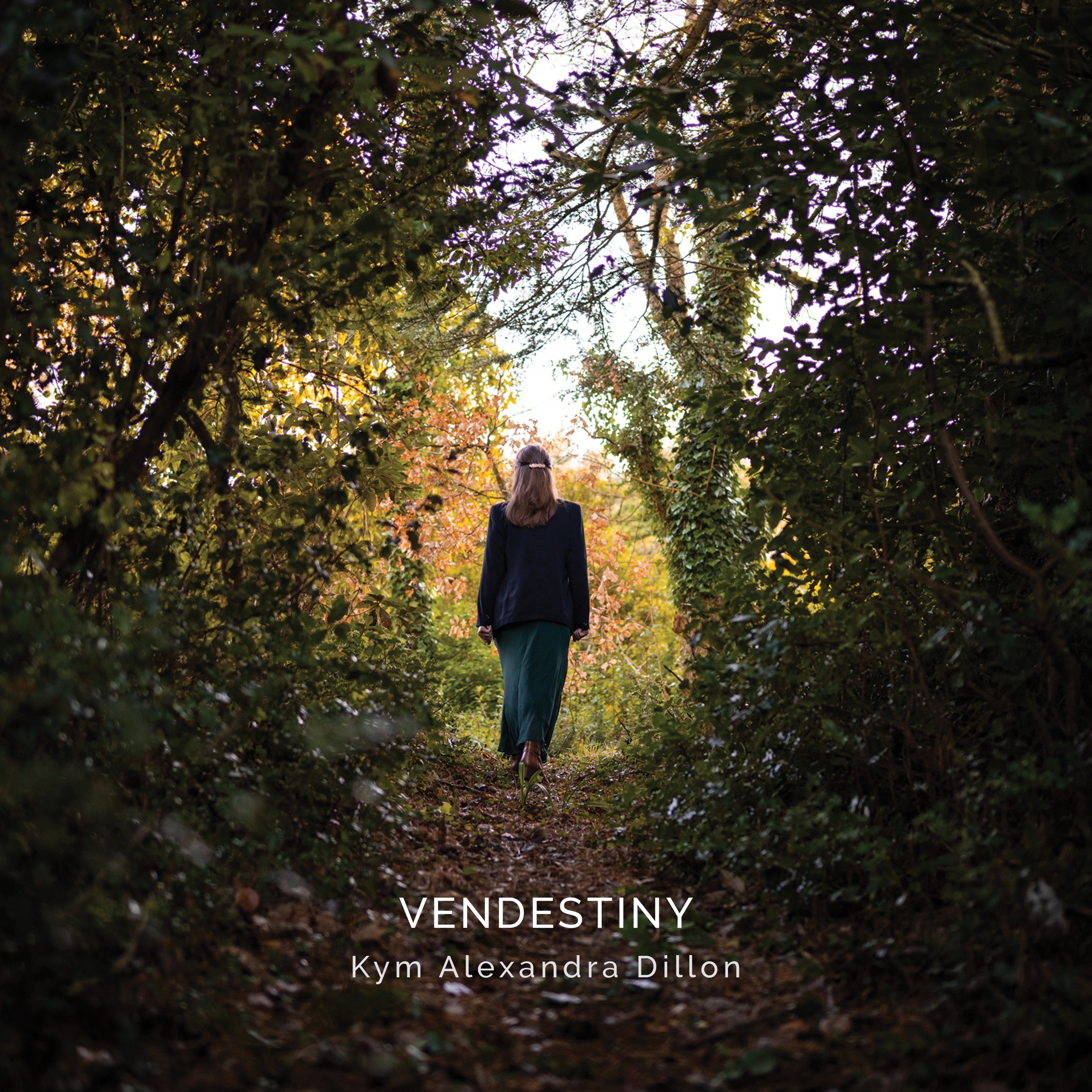 VENDESTINY
