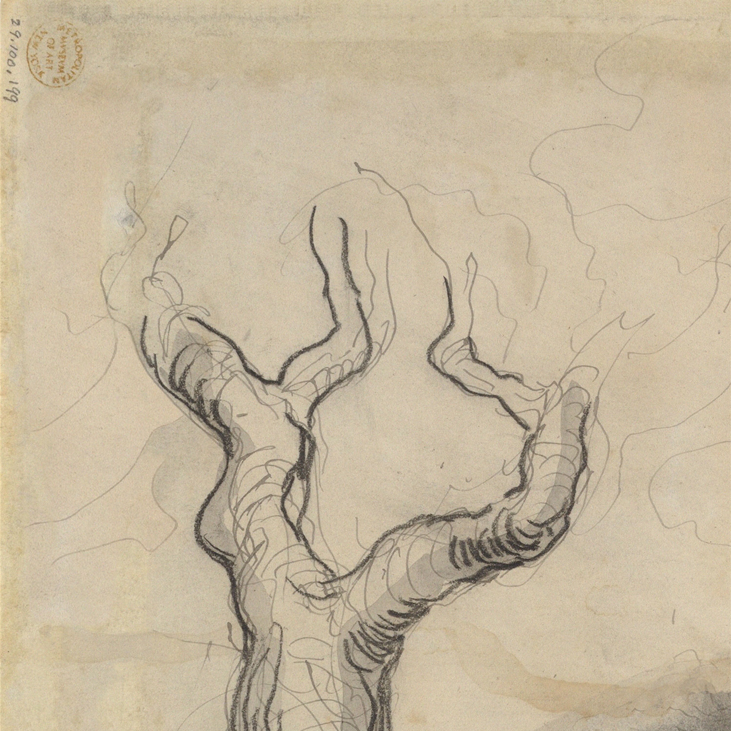 Coalesce (fragment)