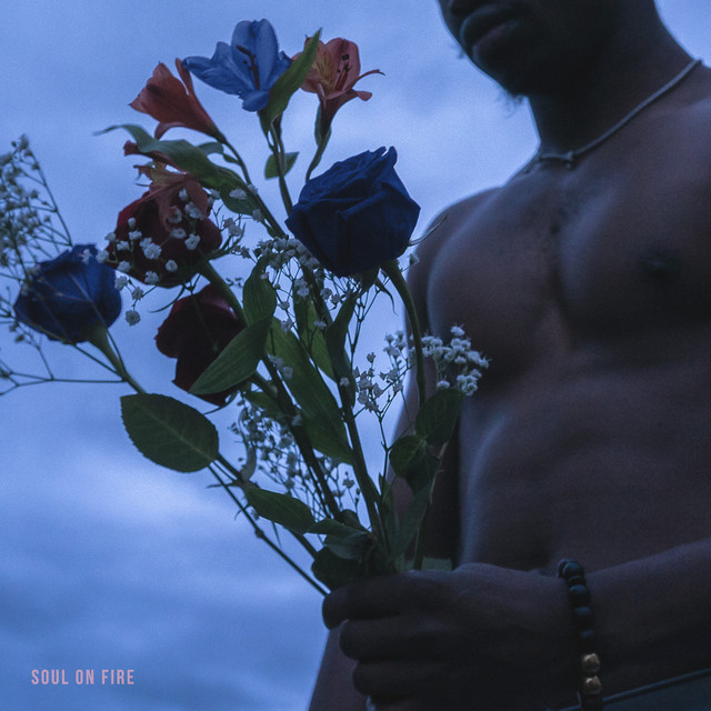 Soul On Fire
