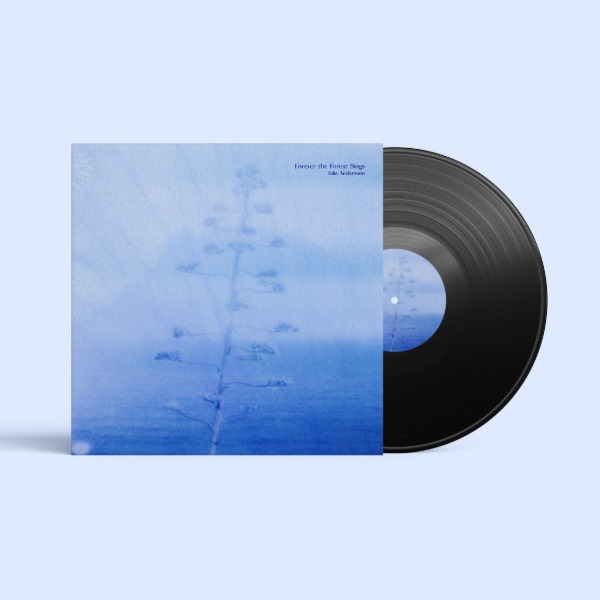 LP / Vinyl