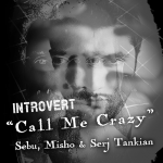 Introvert (Call Me Crazy)