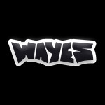Wayes_team